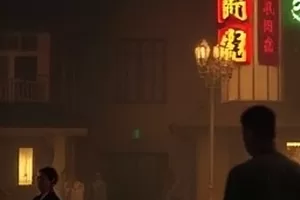 《白鸟航线》剧照:湿地上空成群飞过的白色候鸟